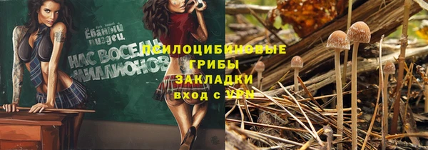 прущий лед Балахна