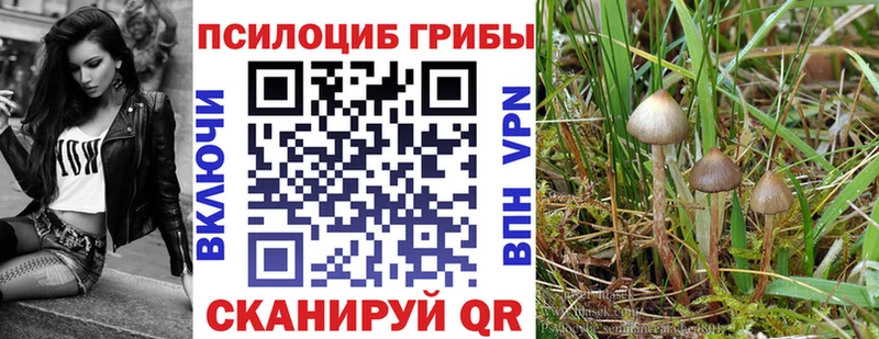 кракен зеркало  Нолинск  Галлюциногенные грибы мухоморы 